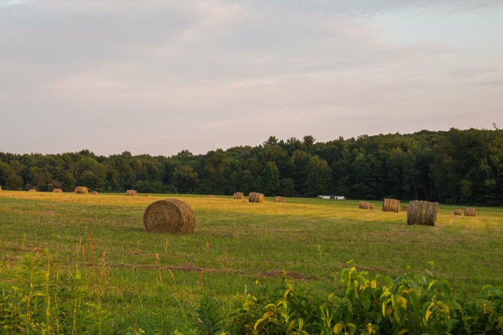 South Ripley Solar + Storage Project - ConnectGEN